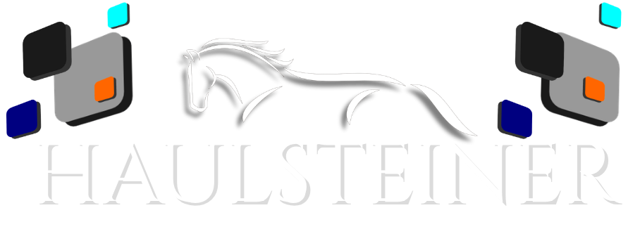 Haulsteiner South Africa